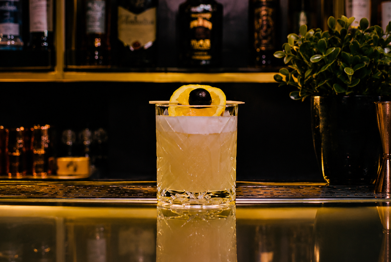 Cafe dine in experience at Eleven Eleven Rooftop Cafe